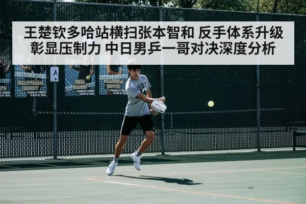 王楚钦多哈站横扫张本智和 反手体系升级彰显压制力 中日男乒一哥对决深度分析