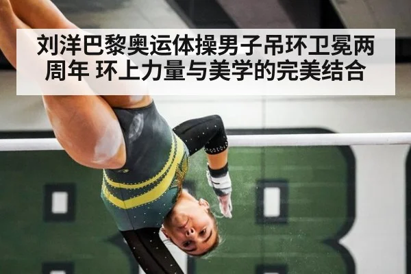 刘洋巴黎奥运体操男子吊环卫冕两周年 环上力量与美学的完美结合